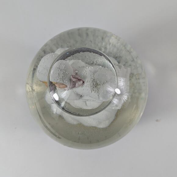 Baby Sledding Snow Globe Waterglobe We Wish You A Merry Christmas Winter Holiday - Picture 6 of 12